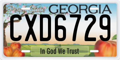 GA license plate CXD6729
