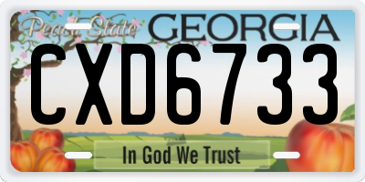 GA license plate CXD6733