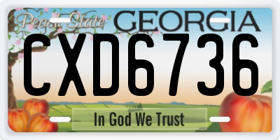 GA license plate CXD6736