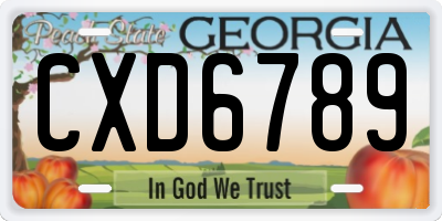 GA license plate CXD6789