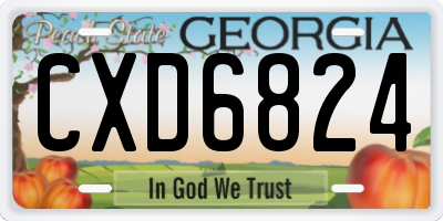 GA license plate CXD6824