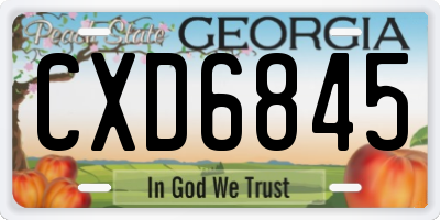 GA license plate CXD6845