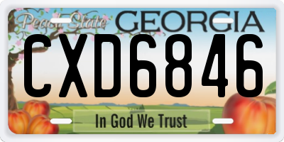 GA license plate CXD6846