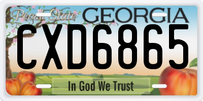 GA license plate CXD6865