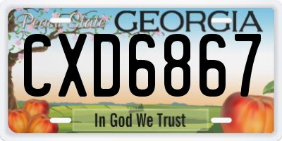 GA license plate CXD6867