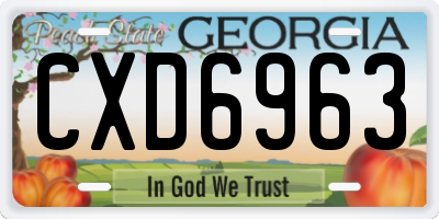 GA license plate CXD6963