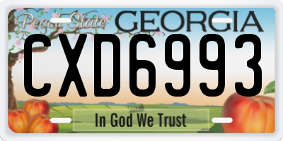 GA license plate CXD6993