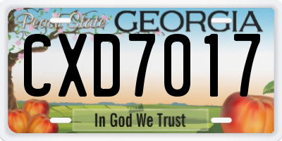 GA license plate CXD7017