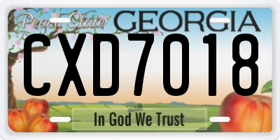 GA license plate CXD7018
