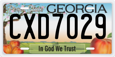 GA license plate CXD7029