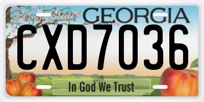 GA license plate CXD7036