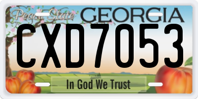 GA license plate CXD7053