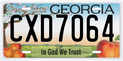 GA license plate CXD7064
