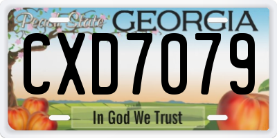GA license plate CXD7079