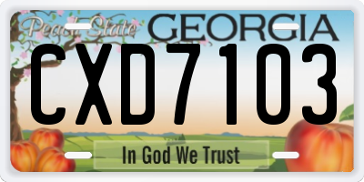 GA license plate CXD7103