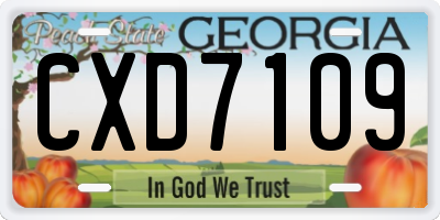GA license plate CXD7109
