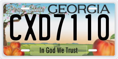 GA license plate CXD7110