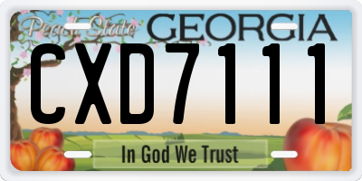 GA license plate CXD7111