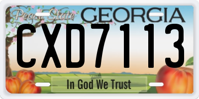 GA license plate CXD7113
