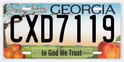 GA license plate CXD7119