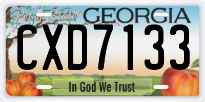 GA license plate CXD7133