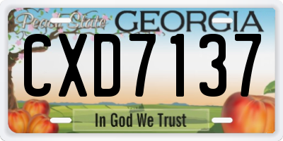 GA license plate CXD7137