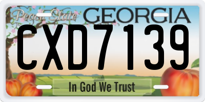 GA license plate CXD7139