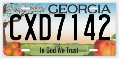 GA license plate CXD7142