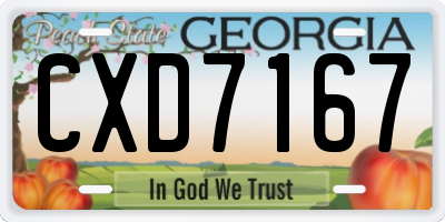 GA license plate CXD7167