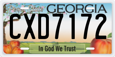 GA license plate CXD7172