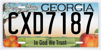 GA license plate CXD7187