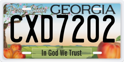 GA license plate CXD7202