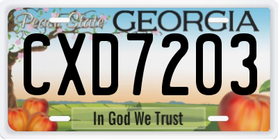 GA license plate CXD7203