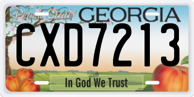 GA license plate CXD7213
