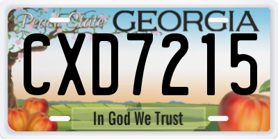 GA license plate CXD7215