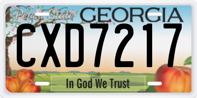 GA license plate CXD7217