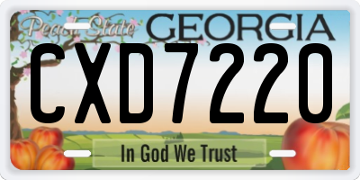 GA license plate CXD7220