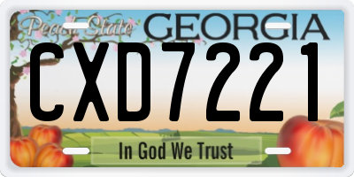 GA license plate CXD7221