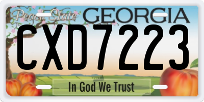 GA license plate CXD7223