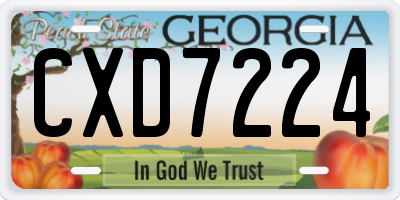 GA license plate CXD7224