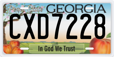 GA license plate CXD7228