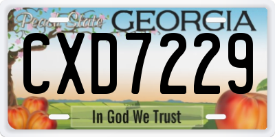 GA license plate CXD7229
