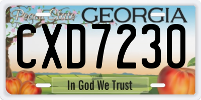 GA license plate CXD7230