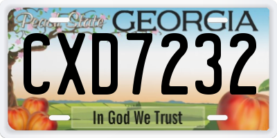 GA license plate CXD7232