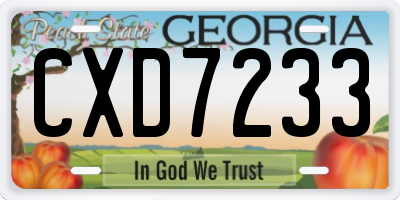 GA license plate CXD7233