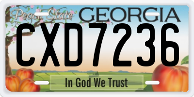 GA license plate CXD7236