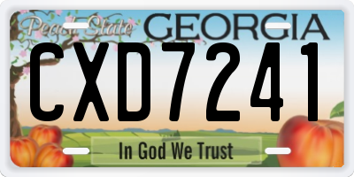 GA license plate CXD7241