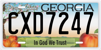 GA license plate CXD7247