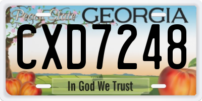 GA license plate CXD7248