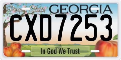 GA license plate CXD7253